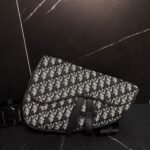 Christian Dior Saddle Bag Safari